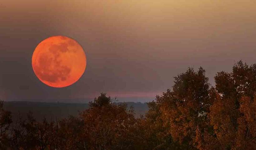 Harvest Moon