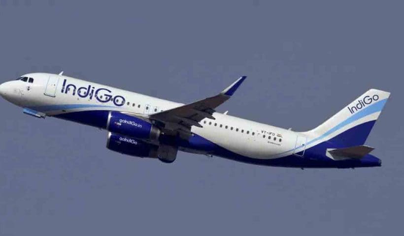 Indigo