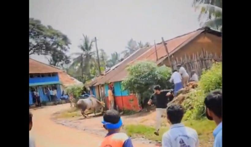 mahalingappa-injured-bull-attack-hori-habba-karnataka