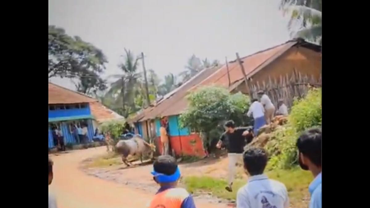 mahalingappa-injured-bull-attack-hori-habba-karnataka