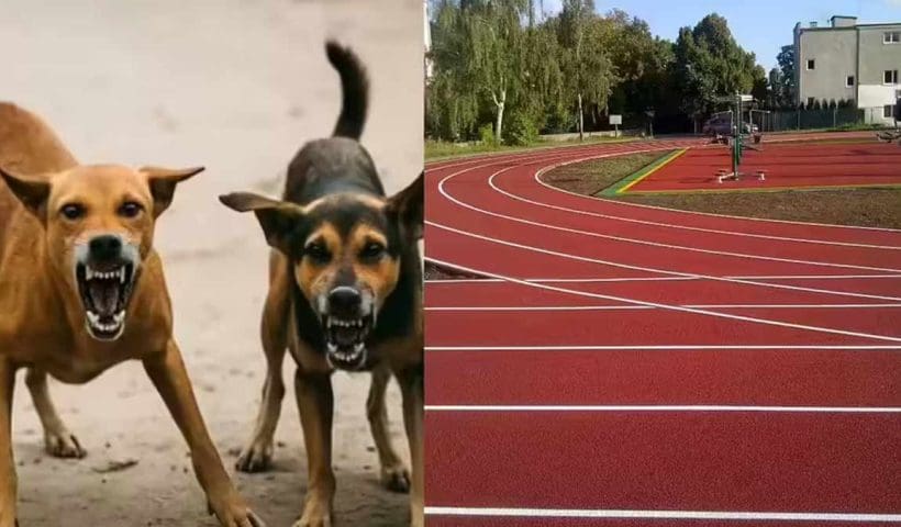 Para olympics