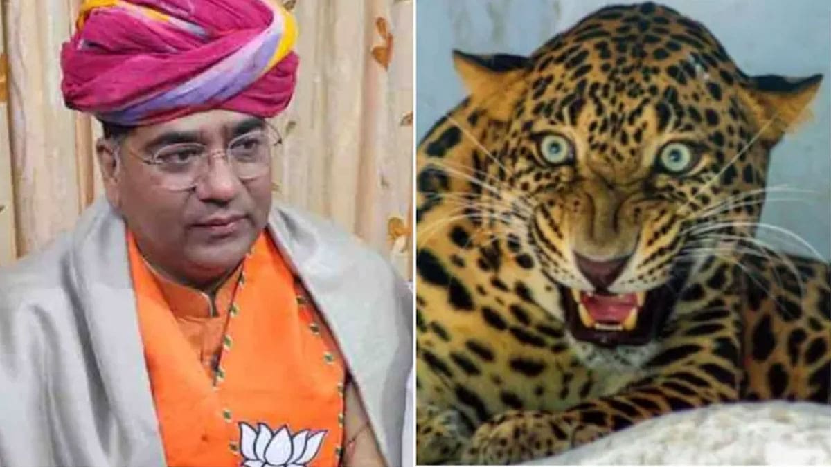 Leopard in VVIP Civil Lines Jaipur