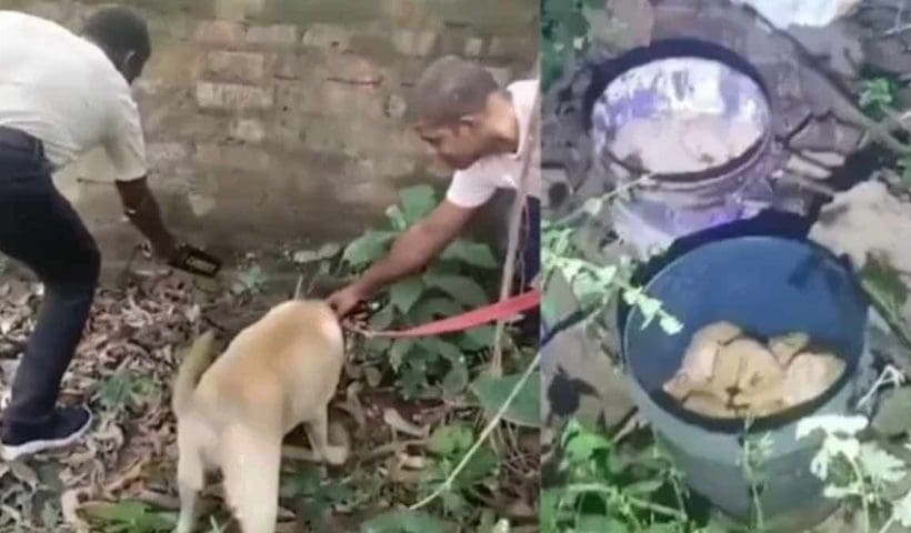 murshidabad-bomb-recovery-west-bengal-2025