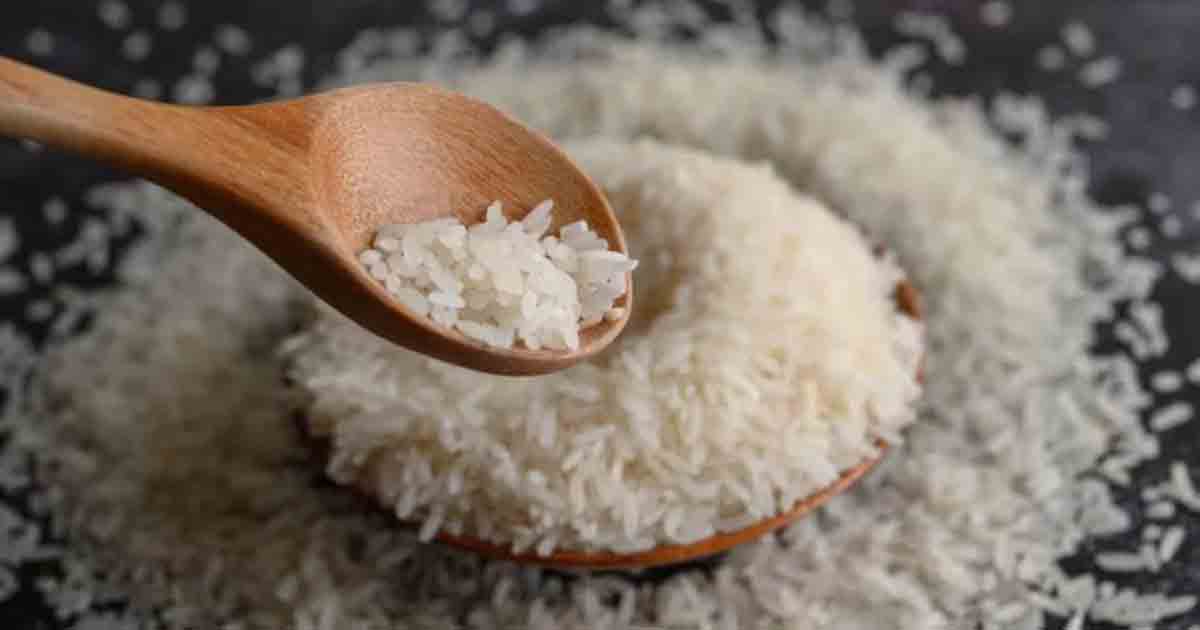rice