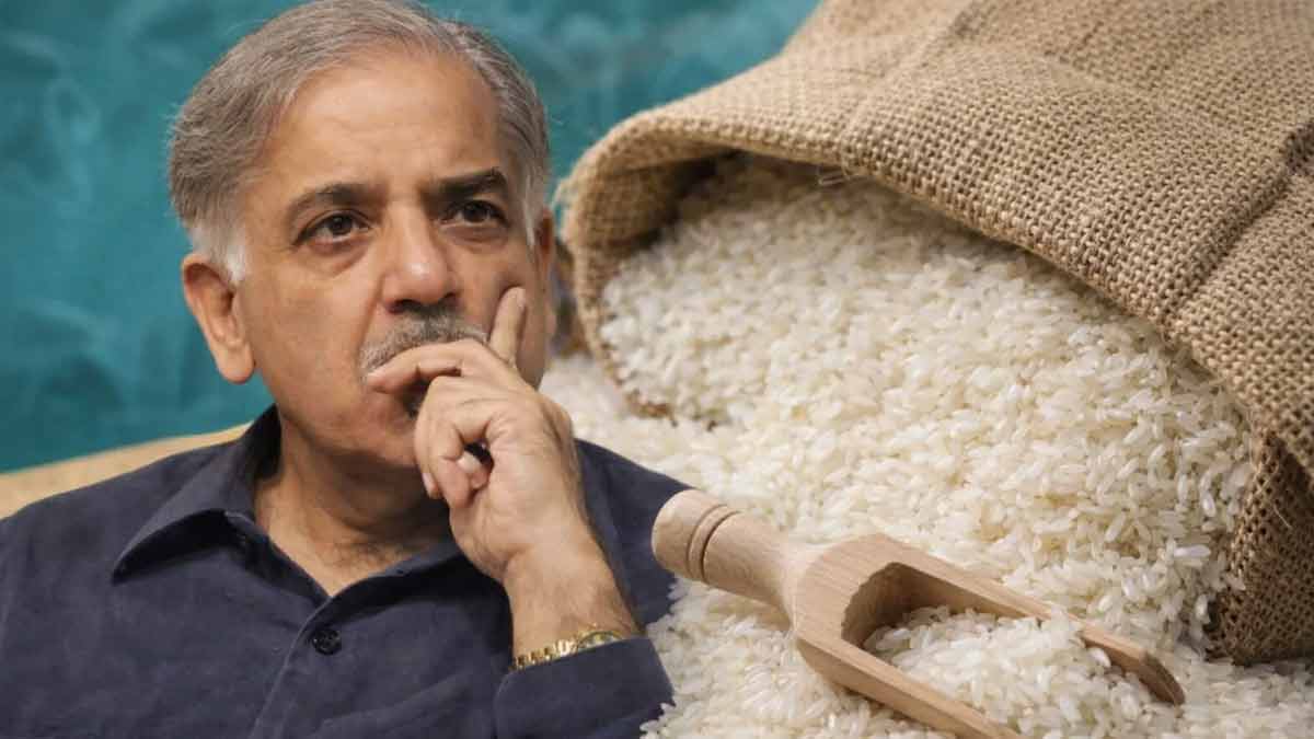 pakistan-rice-exports-crash-indian-rice-dominates