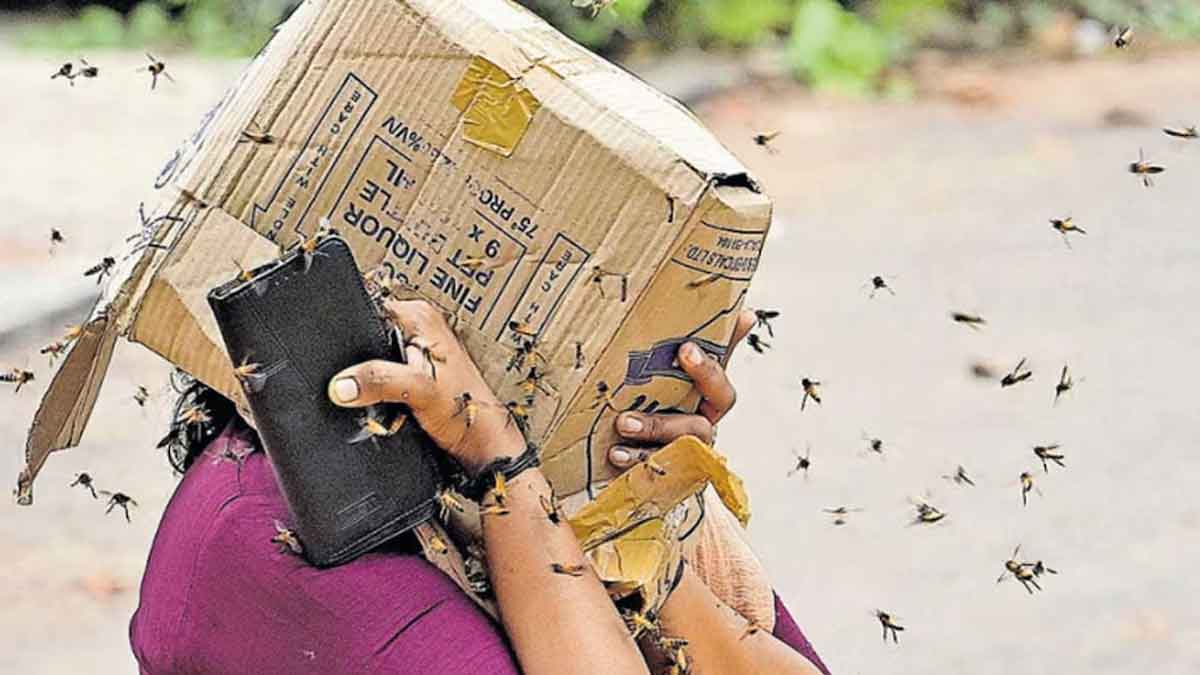 anganwadi-worker-dies-saving-children-bee-attack