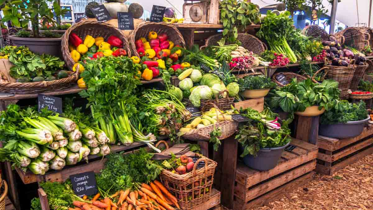 today-vegetable-prices-market-update