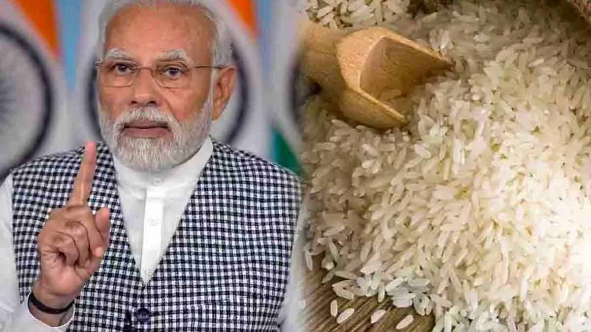 india-rice-export-iran-diplomatic-strategy-humanitarian-aid