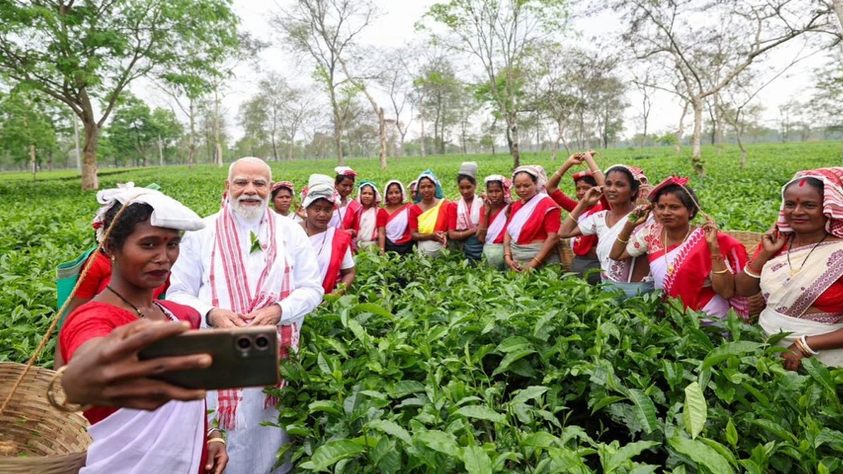 Modi Assam Tea Garden Visit