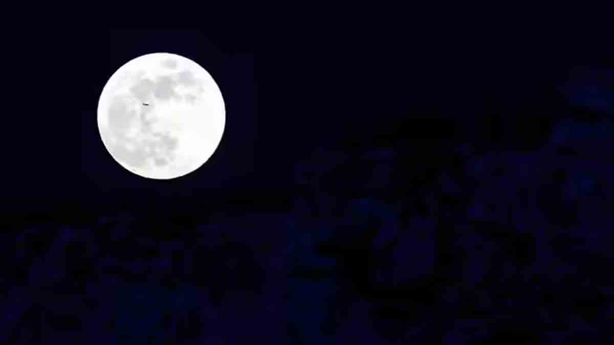 Blue Moon