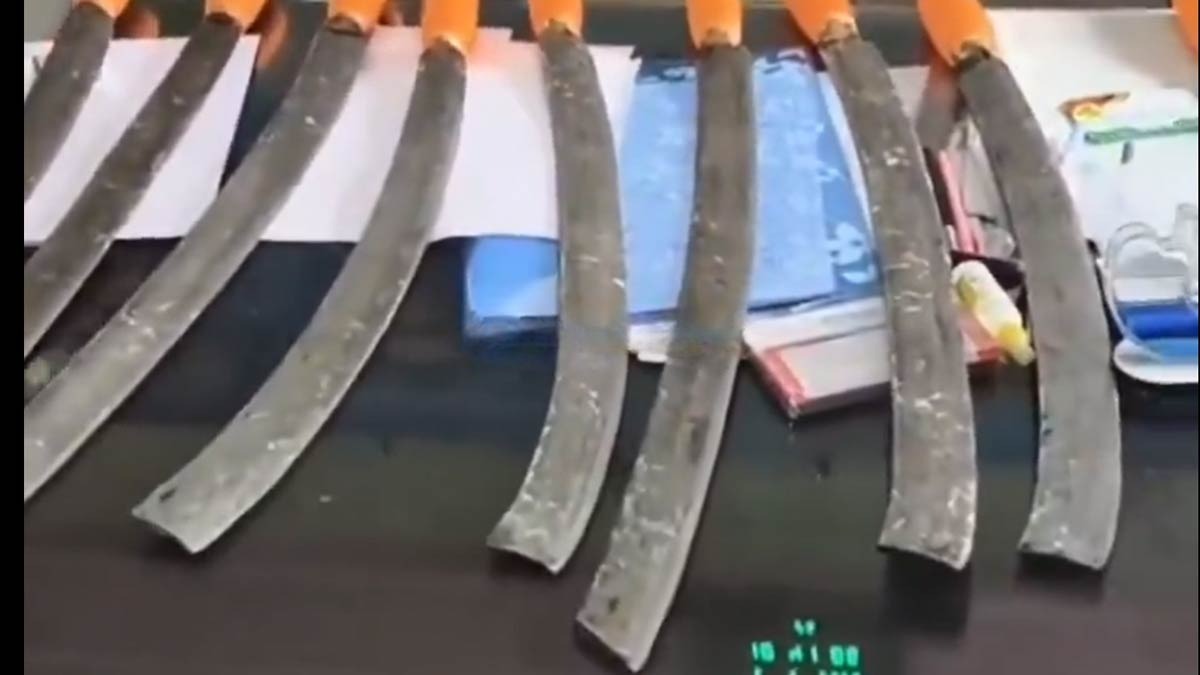 narayanpur-tmc-office-weapons-recovery-salauddin-sardar