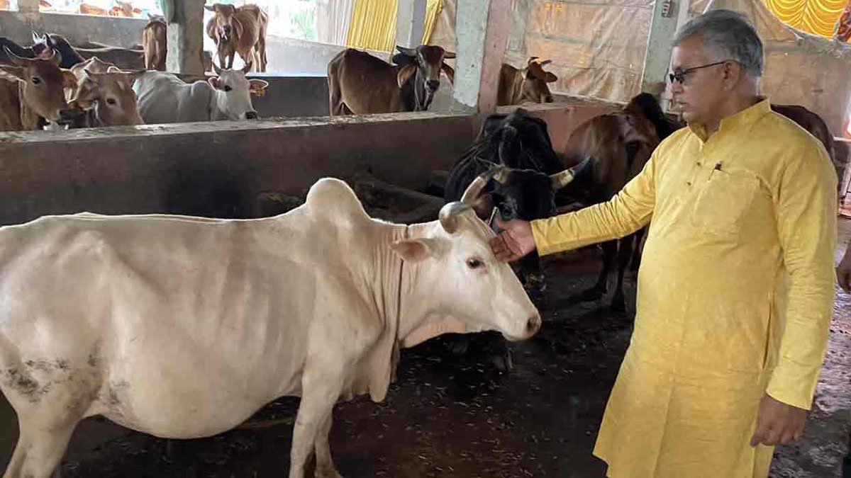 Dilip Ghosh Cow Remark