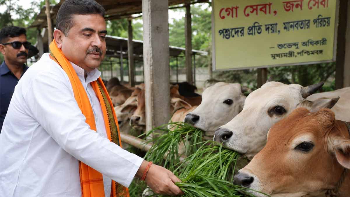 muslim-buyers-refuse-cows-from-hindu-sellers