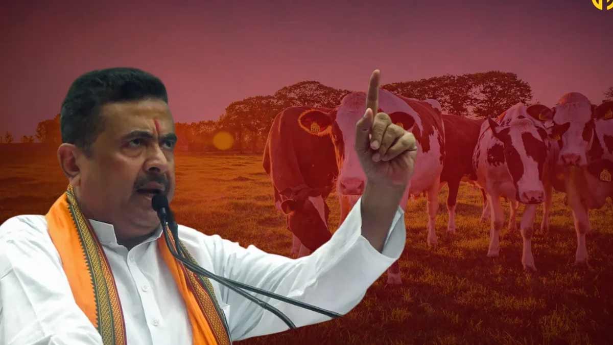calcutta-high-court-cow-slaughter-ban-eid-verdict