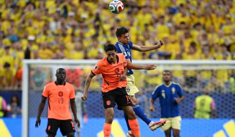 FIFA World Cup netherlands-thrash-sweden-5-1-climb-to-top-of-group