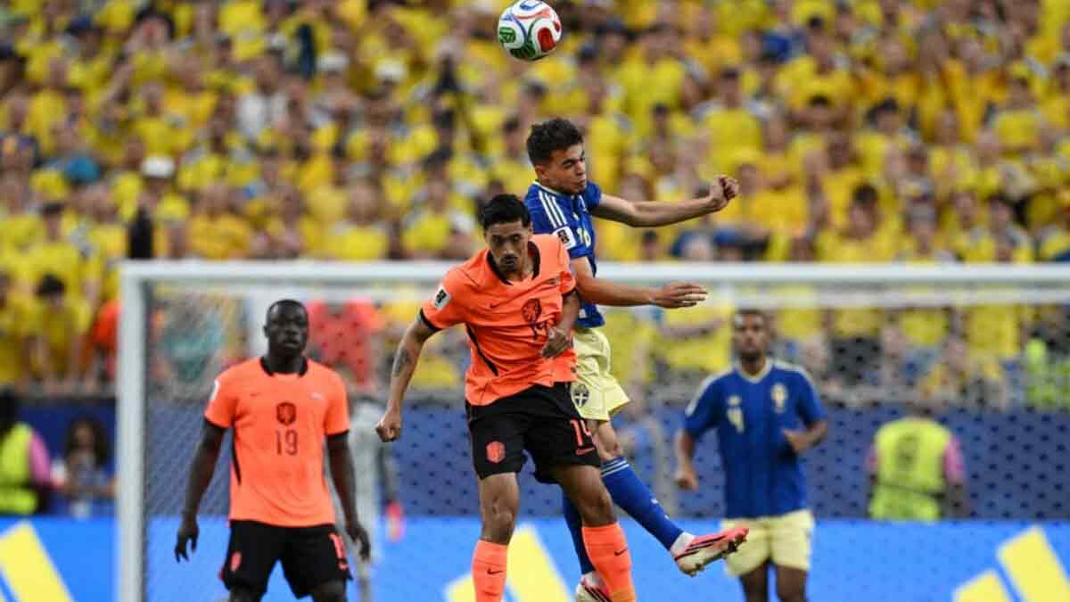 FIFA World Cup netherlands-thrash-sweden-5-1-climb-to-top-of-group