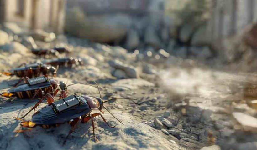 Spy cockroach