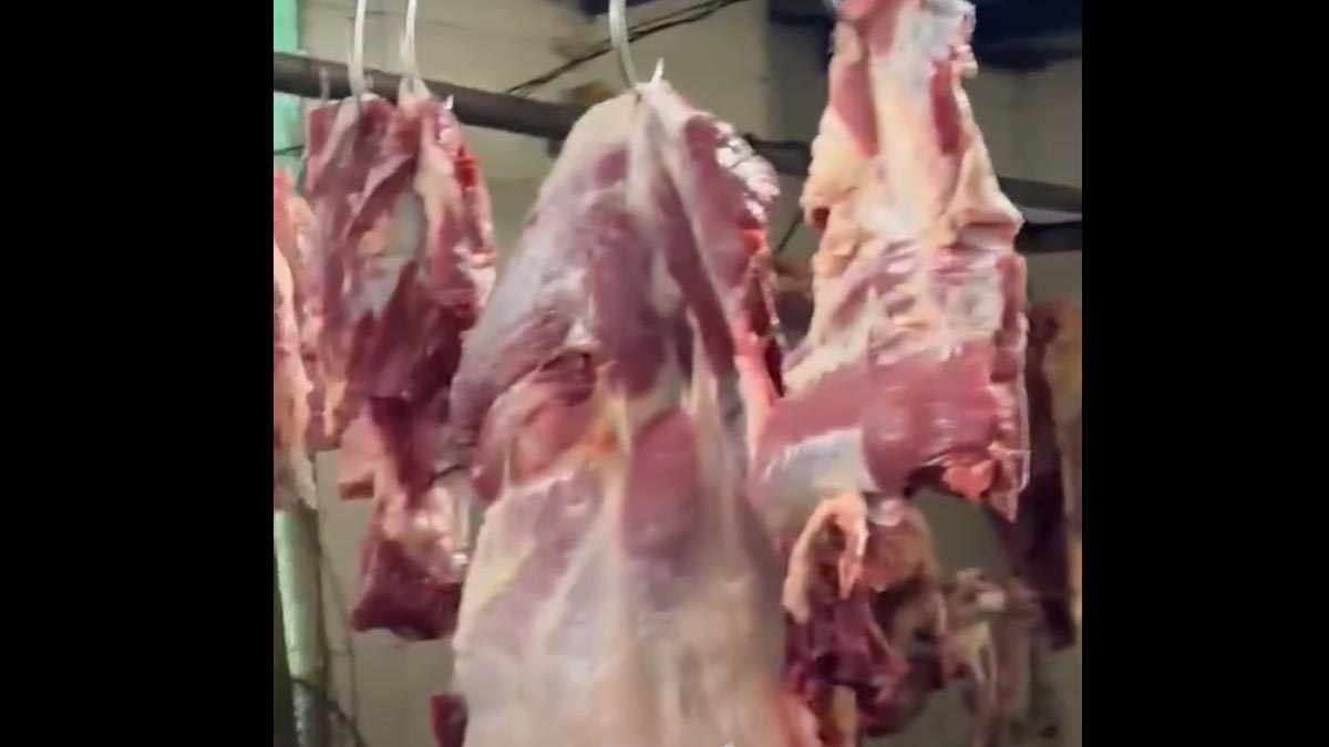 pimpri-bakery-meat-case