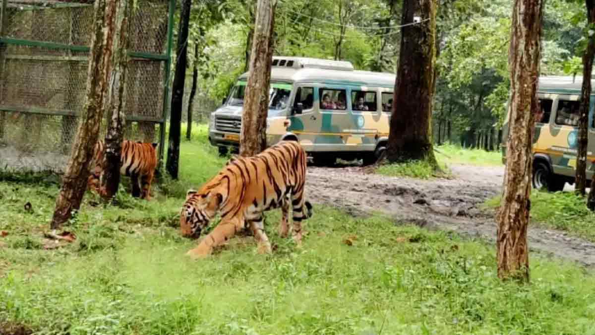 bengal-safari-three-animal-deaths-west-bengal-orders-probe-financial-irregularities