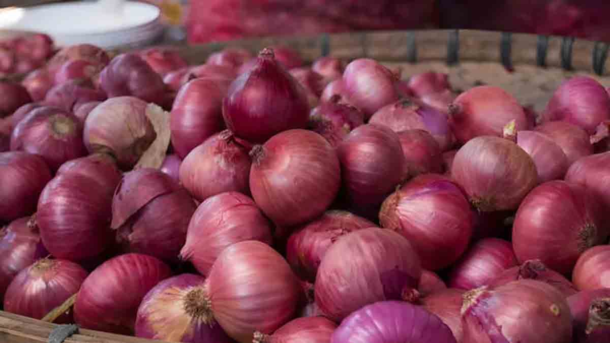 Onion