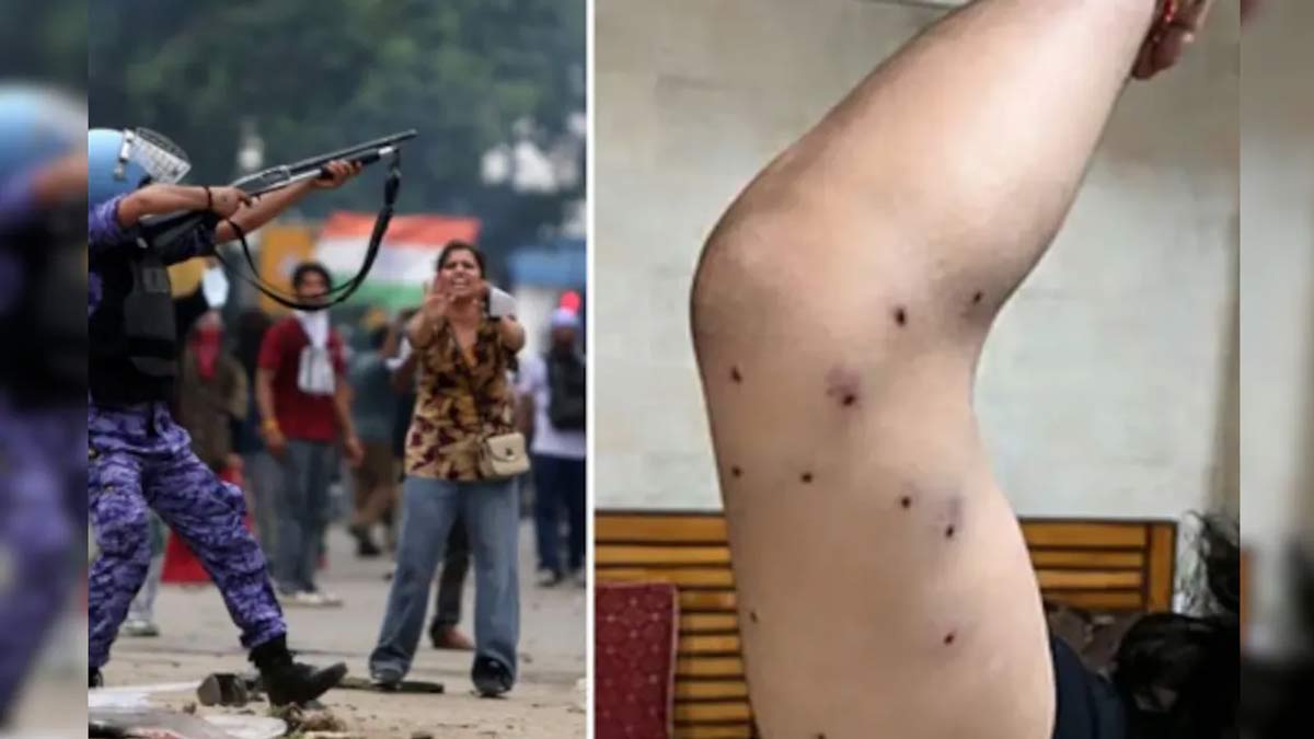 supreme-court-pellet-gun-ruling