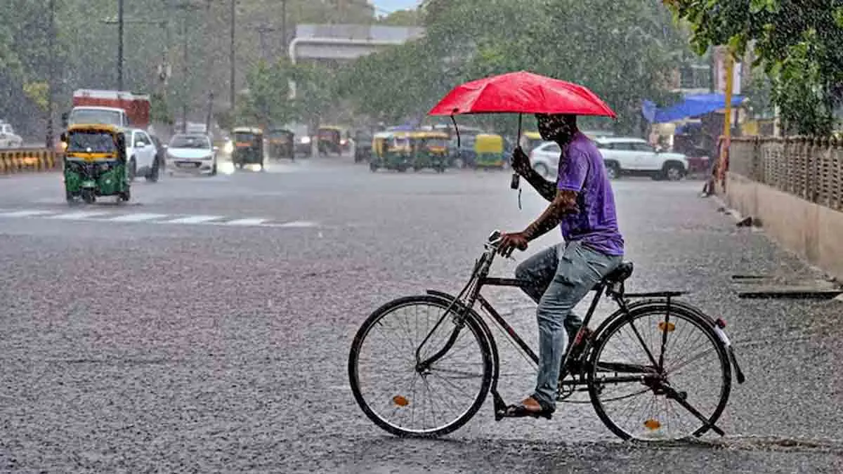 rain