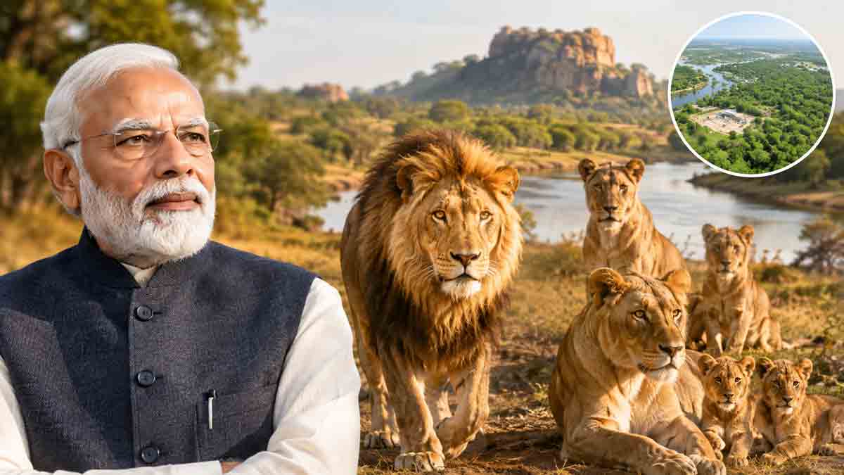 world-lion-day-asiatic-lion-population-india-891