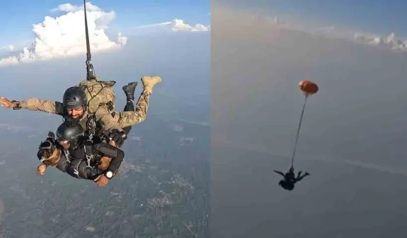 Indian Army Combat Dog