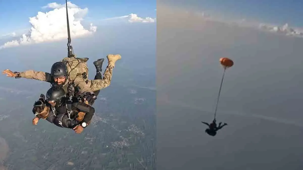 Indian Army Combat Dog