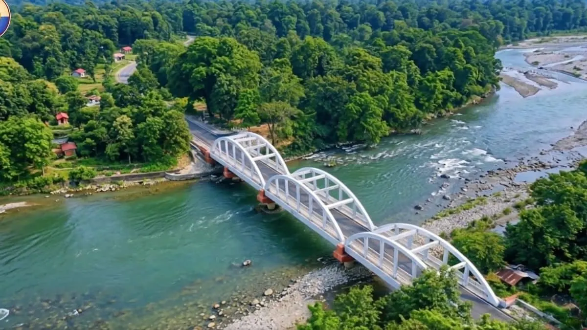 doоars-murti-river-bridge