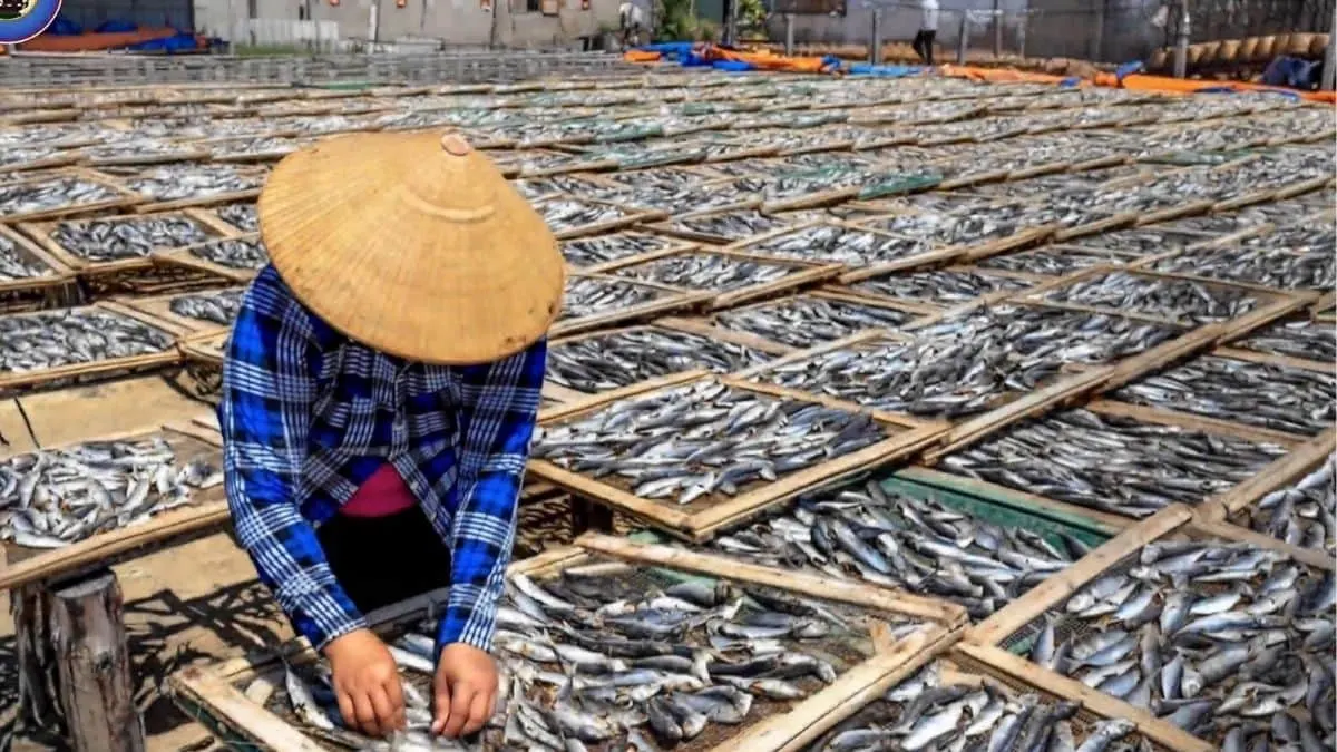 west-bengal-fish-exports