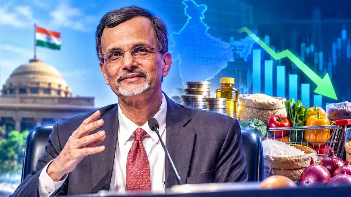 food-inflation-india-prices-ease-year-end-chief-economic-adviser