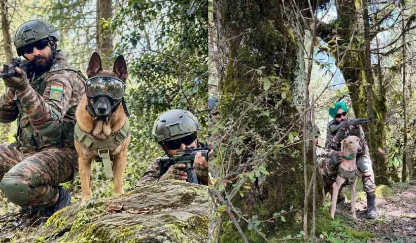 yudh-abhyas-2026-indian-army-dogs-rice-victor-jack-rowdy-us-army