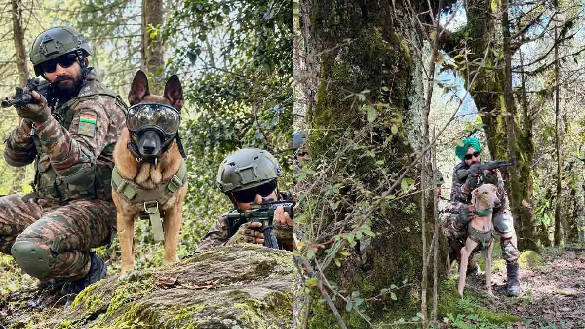 yudh-abhyas-2026-indian-army-dogs-rice-victor-jack-rowdy-us-army